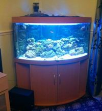 juwel 350 trigon £500