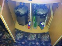 juwel 350 trigon £500