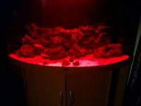 juwel 350 trigon £500