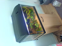 For Sale: Fluval Duo Deep 600+ stand + External Fluval 104 Filter
