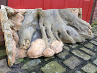 6ft Amazonas 3D Back to Nature background - £300 ovno