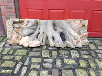 6ft Amazonas 3D Back to Nature background - £300 ovno
