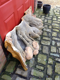 6ft Amazonas 3D Back to Nature background - £300 ovno