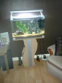 Medium Tank incl Fish