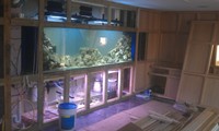 Bespoke Marine Aquariums