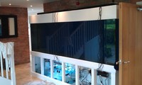 Bespoke Marine Aquariums