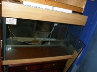 Large Aquarium clear out.