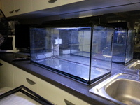 Fish tank for sale