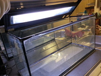 Fish tank for sale