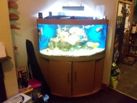 Trigon 350 + Marine Fish.