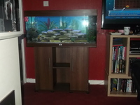 fish tank juwel rio 180 excellent condition