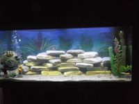 fish tank juwel rio 180 excellent condition