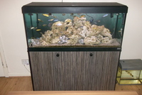 FLUVAL 240 Aquarium
