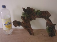 BOG WOOD LARGE INTERESTING PEICES