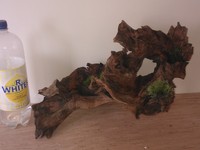 BOG WOOD LARGE INTERESTING PEICES