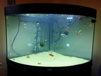 190 litre juwel trigon tank with included external auquamanta efx 1000 filter
