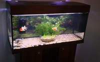 Ferplast Dubai 100 Aquarium and Stand Walnut £250 ovno