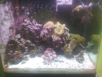 upgraded rsm 130 for sale