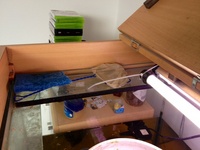 5ftx2ftx2ft nd aquatics aquarium and cabinet