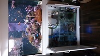 Aqua One Aqua Reef 300 Full Set up