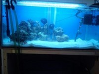 marine setup £150 gets the lot