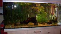 5 ft Rena Aquarium