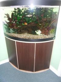 Fluval Venezia 190 ltr corner tank, cabinet and accessories