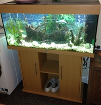 Jewel Rio 180