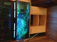 full discus set up