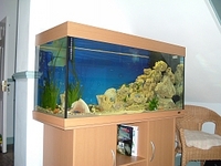 Juwel Rio 300 (48w x 20d x 24h) Tank for Sale