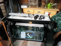 Complete marine tank setup