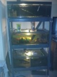 TANK RACK COMPLETE SET UP 3FT