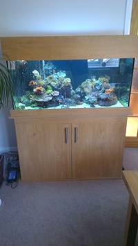 Complete Marine Setup 4x2x2 £500 or near offer