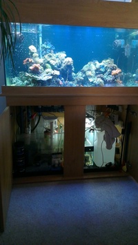 Complete Marine Setup 4x2x2 £500 or near offer