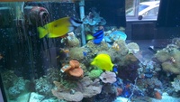 Complete Marine Setup 4x2x2 £500 or near offer