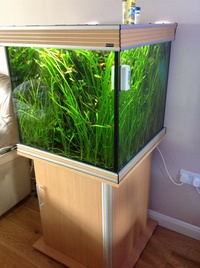 Complete planted tropical aquarium for sale