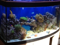 Complete Marine Setup For Sale, In Parts or as a whole £1200 ONO
