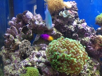 Complete Marine Setup For Sale, In Parts or as a whole £1200 ONO