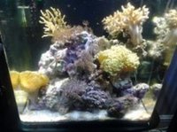 complete marine set up