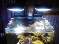 complete marine set up