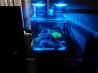 complete marine set up