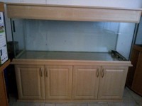 Maple Aquatics Dereham Near Norwich Norfolk