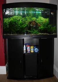 SOLD Juwel Vision black bow-front160L tank - with stand and fish - £135 ono