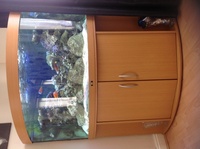 juwel 350 ltr corner tank on beach unit full marine set