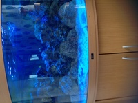 juwel 350 ltr corner tank on beach unit full marine set
