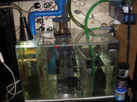 Complete Marine Setup AquaReef 300