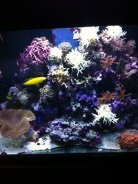 Complete Marine setup, willing to sell seperately