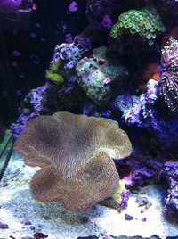 Complete Marine setup, willing to sell seperately