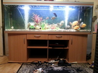 6.5 ft Rena Fish Tank SOLD SUBJECT TO COLLECTION
