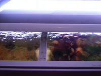 6.5 ft Rena Fish Tank SOLD SUBJECT TO COLLECTION